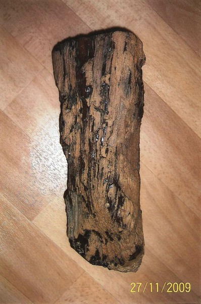 Απολιθωμένο ξύλο Ελλάδα