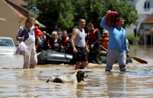 Residents and a dog walk through flood water in the town of Obrenovac, May 18, 2014. Soldiers, police and villagers battled to protect power plants in Serbia from rising flood waters on Sunday as the death toll from the Balkan region's worst rainfall in more than a century reached 37. Twelve bodies were recovered from the worst-hit Serbian town of Obrenovac, but the number was likely to rise as waters receded.  REUTERS/Antonio Bronic (SERBIA - Tags: DISASTER ENVIRONMENT ANIMALS)