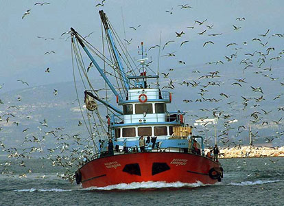τουρκικό-αλιευτικό