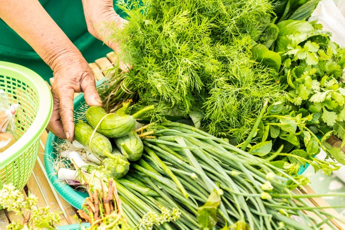 The Vegetables chemical-free organic vegetables green vegetables fresh vegetables green clean ** Note: Soft Focus at 100%, best at smaller sizes