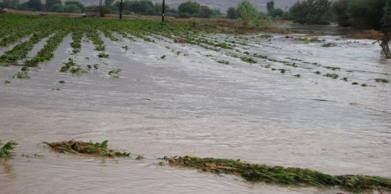 πλημμυρισμένα-χωράφια2