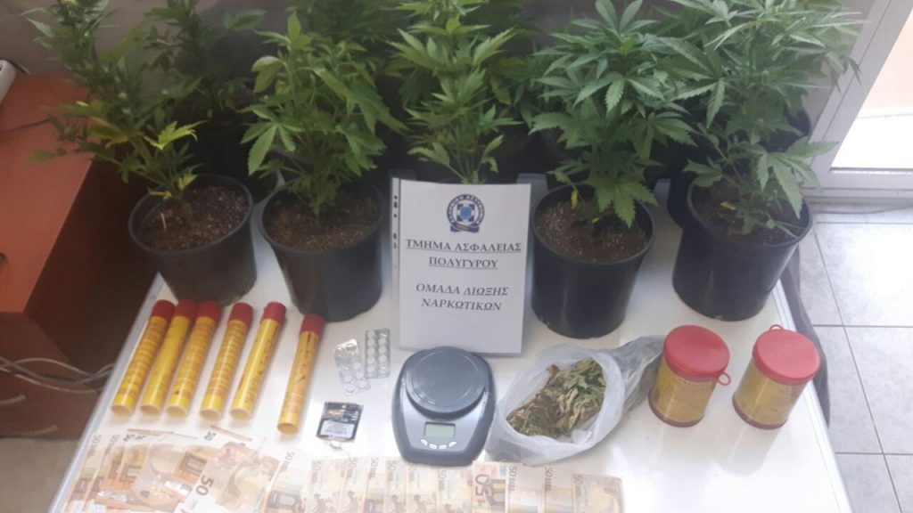 Συνελήφθη 32χρονος στη Χαλκιδική για καλλιέργεια και διακίνηση κάνναβης