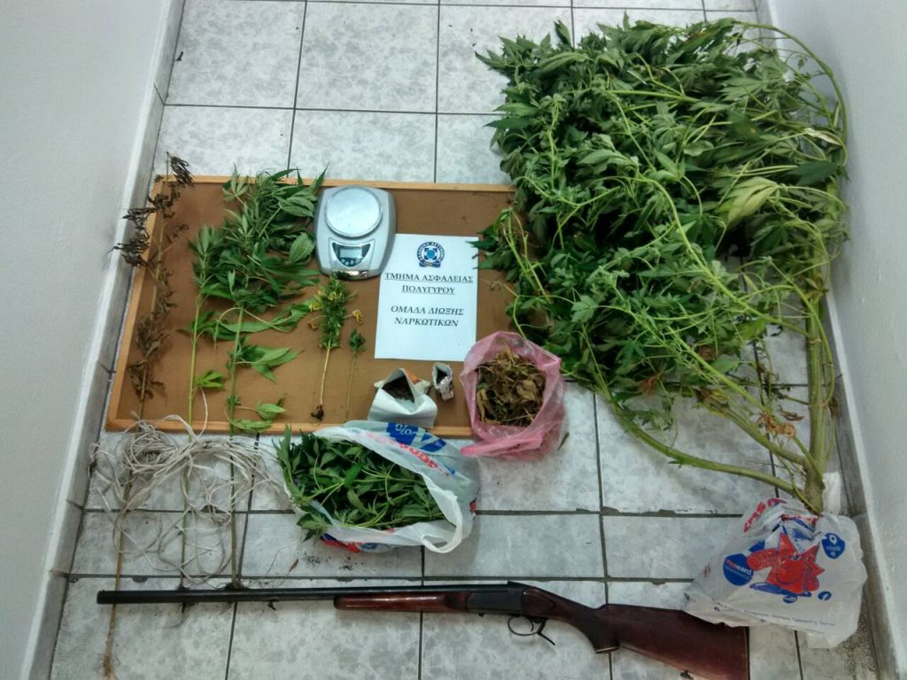 Συνελήφθη 36χρονος στην Χαλκιδική για διακίνηση και καλλιέργεια κάνναβης
