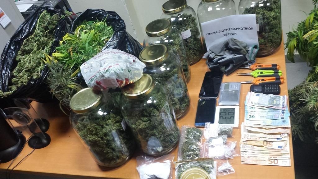 Συνελήφθησαν 3 άτομα σε περιοχή των Σερρών για καλλιέργεια κάνναβης
