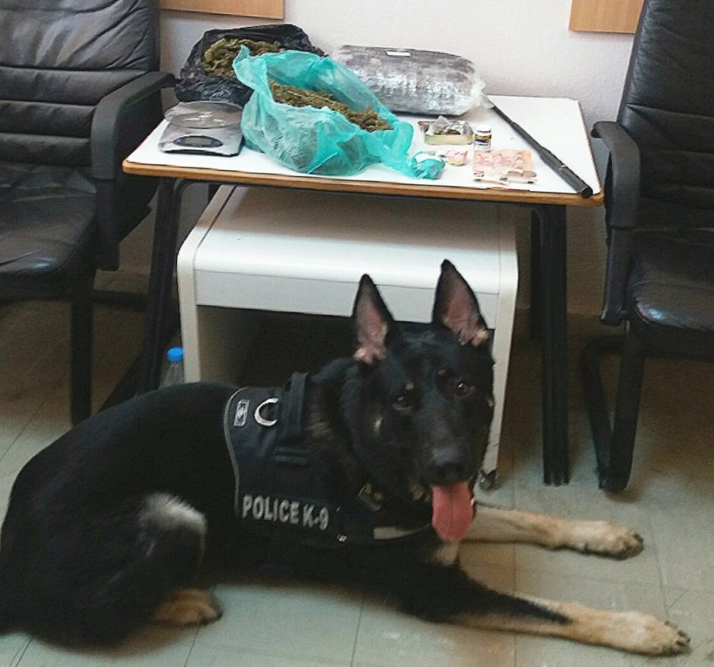 Συνελήφθησαν τρία άτομα στην Πέλλα για πώληση και κατοχή κάνναβης