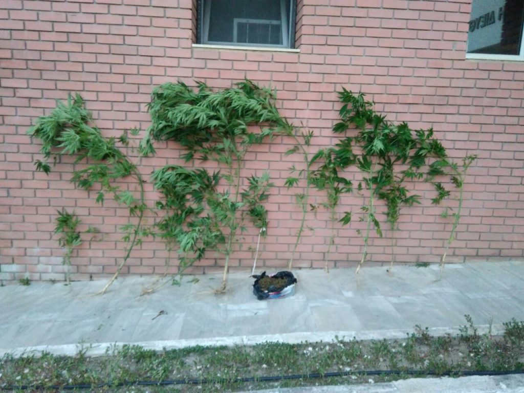 19-07-2018 Ενημερωτικό δελτίο τελευταίου 24ωρου