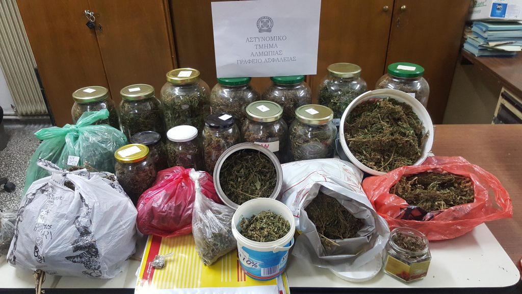 Συνελήφθησαν 2 άτομα στην Πέλλα για καλλιέργεια και κατοχή κάνναβης