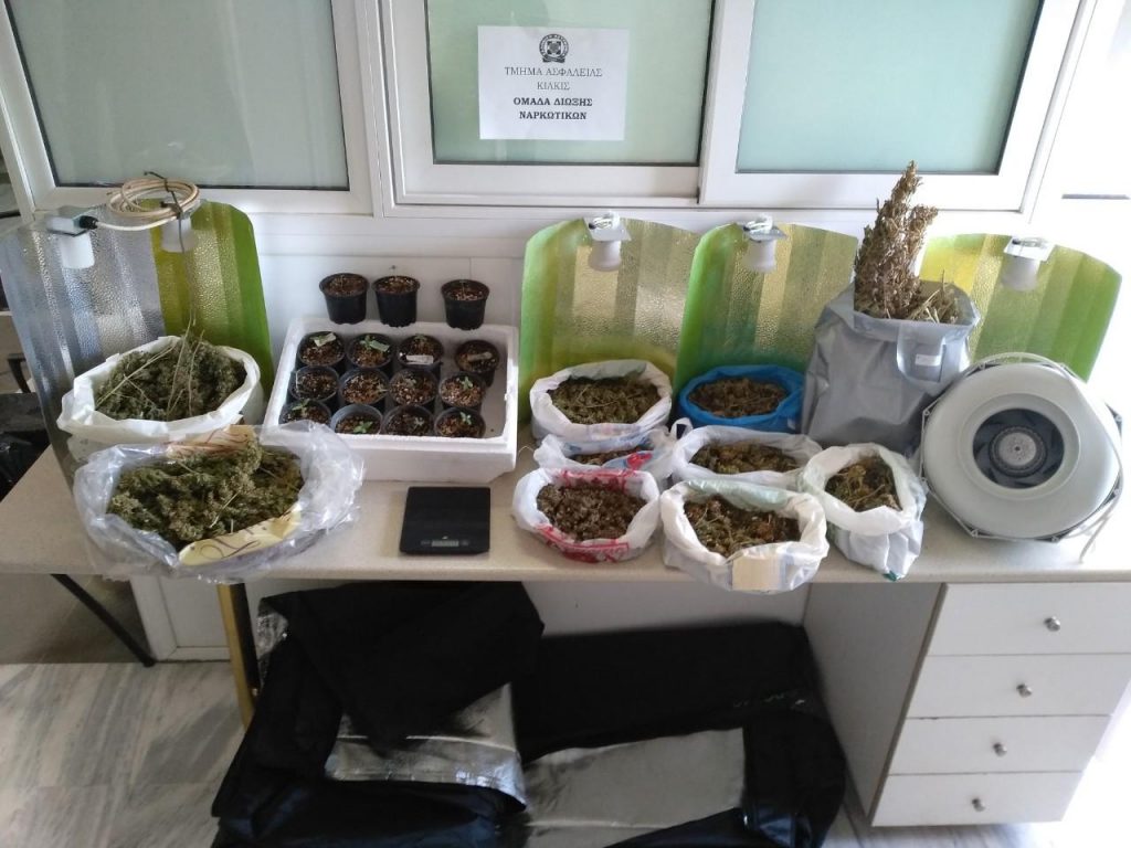 Από το Τμήμα Ασφάλειας Κιλκίς συνελήφθη 27χρονος για καλλιέργεια και κατοχή κάνναβης