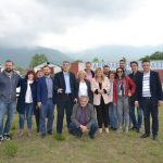 Εικόνα 213