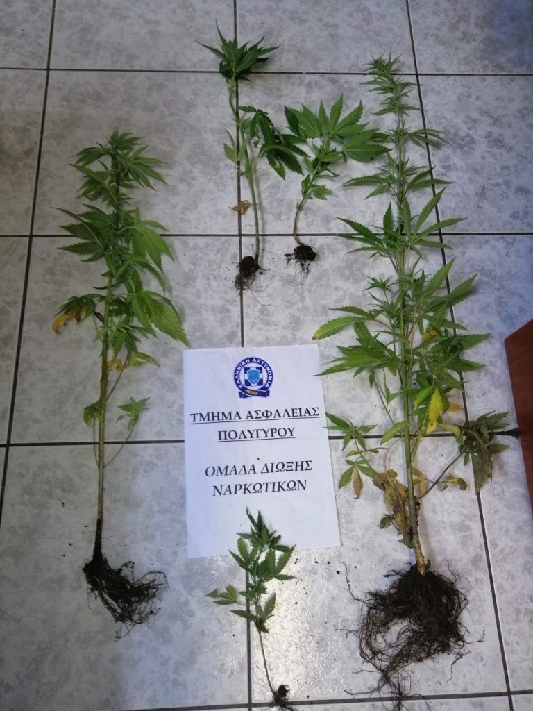 08-05-2019 Ενημερωτικό δελτίο τελευταίου 24ωρου