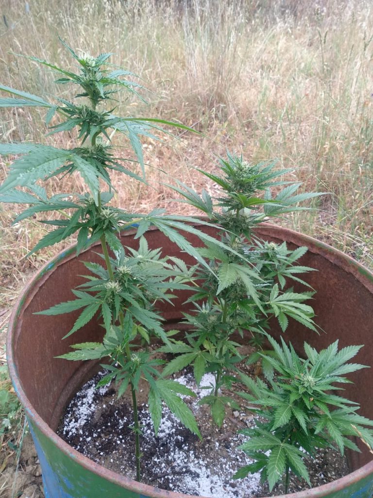 6-6-2019 Ενημερωτικό Δελτίο του τελευταίου 24ωρου
