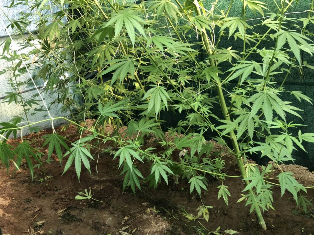 19-7-2019 Ενημερωτικό δελτίο του τελευταίου 24ωρου