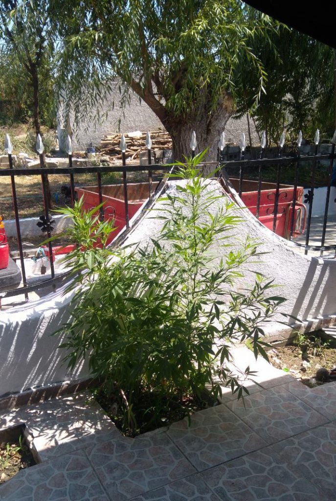 29-08-2019 Ενημερωτικό δελτίο τελευταίου 24ωρου