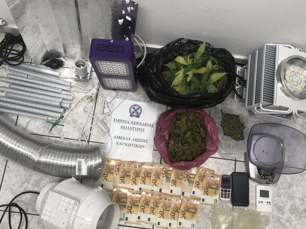 31-08-2019 Συνελήφθησαν 2 άτομα στη Χαλκιδική για καλλιέργεια κάνναβης