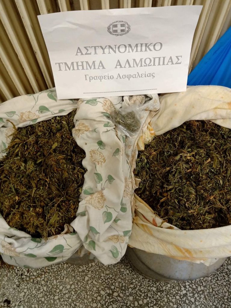 Από το Αστυνομικό Τμήμα Αλμωπίας συνελήφθη 47χρονος για κατοχή και καλλιέργεια κάνναβης