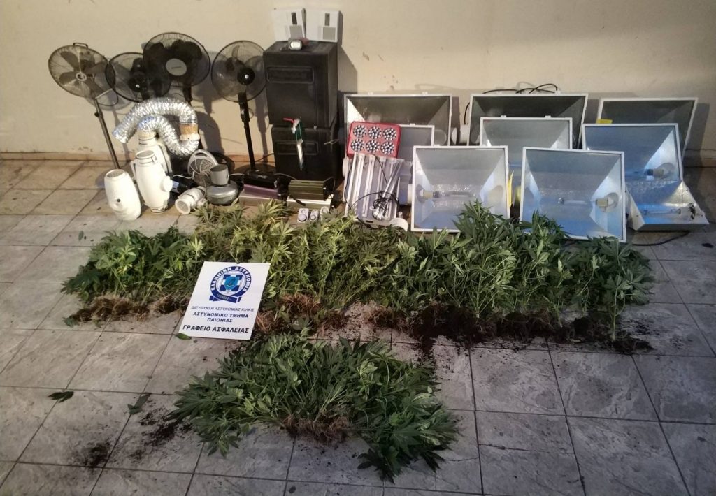 Από το Αστυνομικό Τμήμα Παιονίας συνελήφθη 58χρονος για υδροπονική καλλιέργεια και διακίνηση κάνναβης