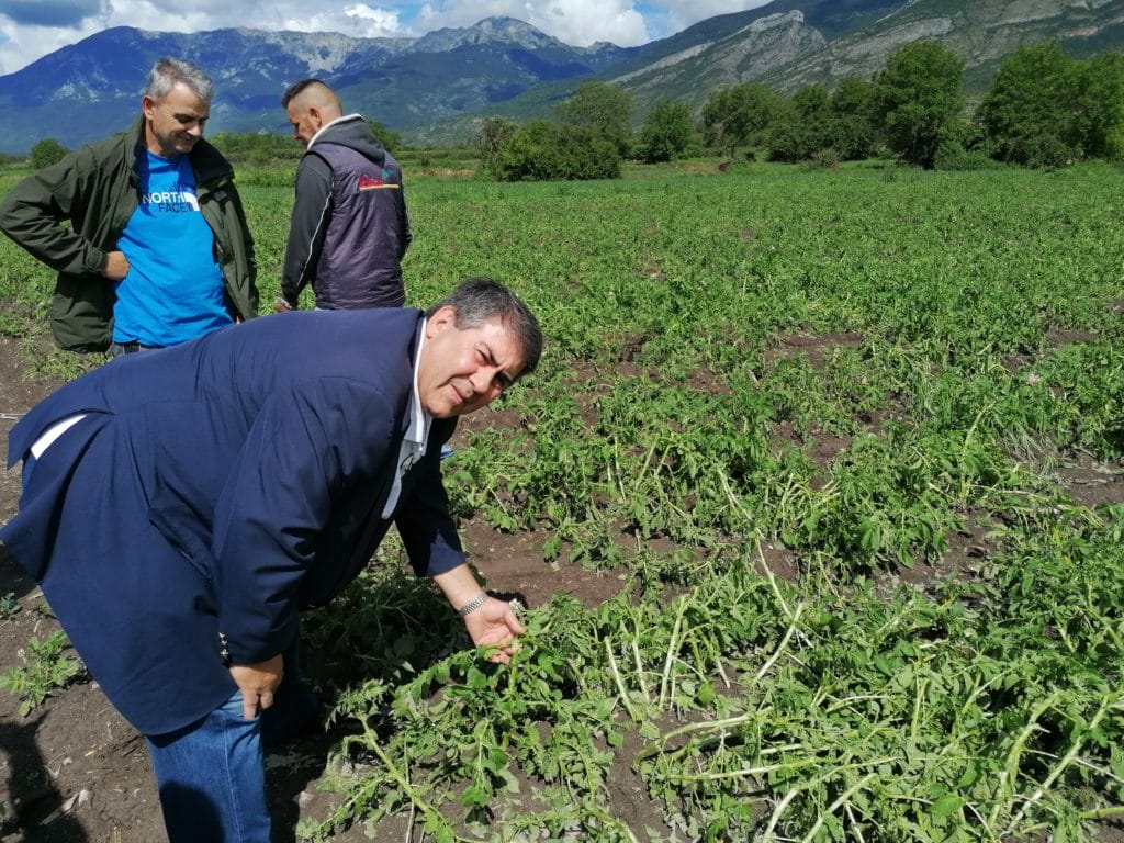 Έκκληση του Αντιπεριφερειάρχη Πέλλας Δάνη Τζαμτζή για άμεση εκτίμηση των ζημιών στις αγροτικές παραγωγές της Πέλλας από τον ΕΛΓΑ λόγω της σφοδρής χαλαζόπτωσης