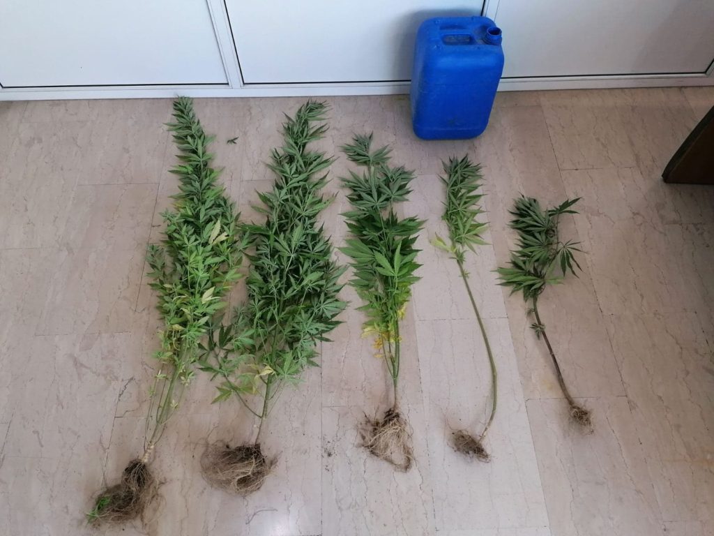14-7-2020 Ενημερωτικό Δελτίο τελευταίου 24ωρου