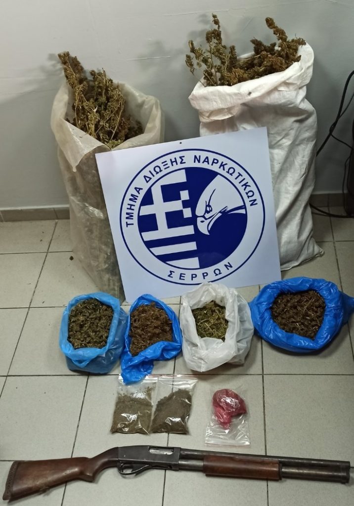Συνελήφθη ημεδαπός σε περιοχή των Σερρών για κατοχή κάνναβης - Σε πτηνοτροφείο ιδιοκτησίας του απέκρυπτε ποσότητες κάνναβης και φυτικών αποσπασμάτων κάνναβης