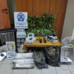 Υδροπονική καλλιέργεια κάνναβης ΑΤ Παιονίας