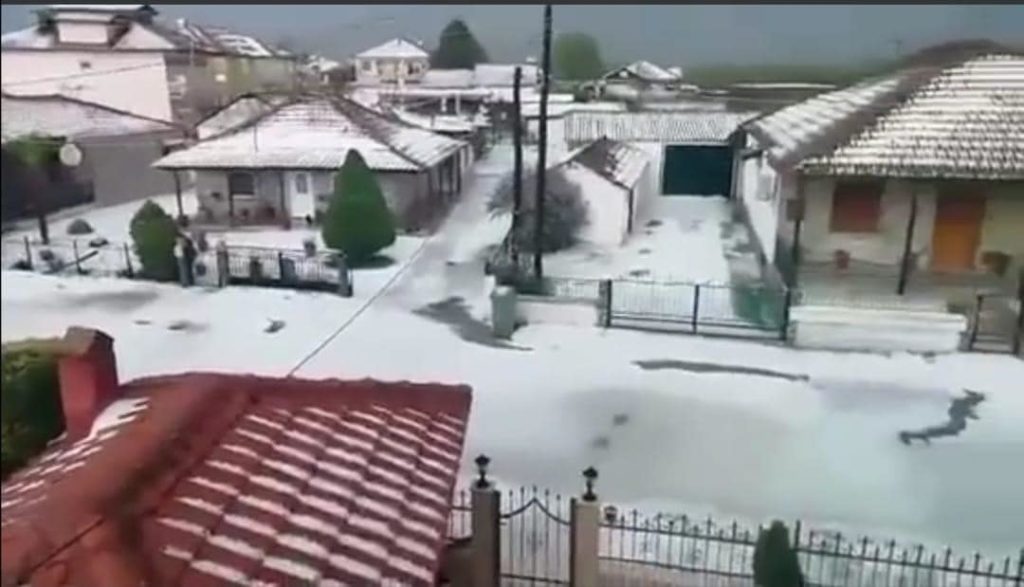 ΣΥΡΙΖΑ ΝΟΜΑΡΧΙΑΚΗ ΠΕΛΛΑΣ : ΟΛΟΚΛΗΡΩΤΙΚΗ Η ΚΑΤΑΣΤΡΟΦΗ ΓΙΑ ΤΟΥΣ ΑΓΡΟΤΕΣ ΣΤΟ ΝΟΜΟ