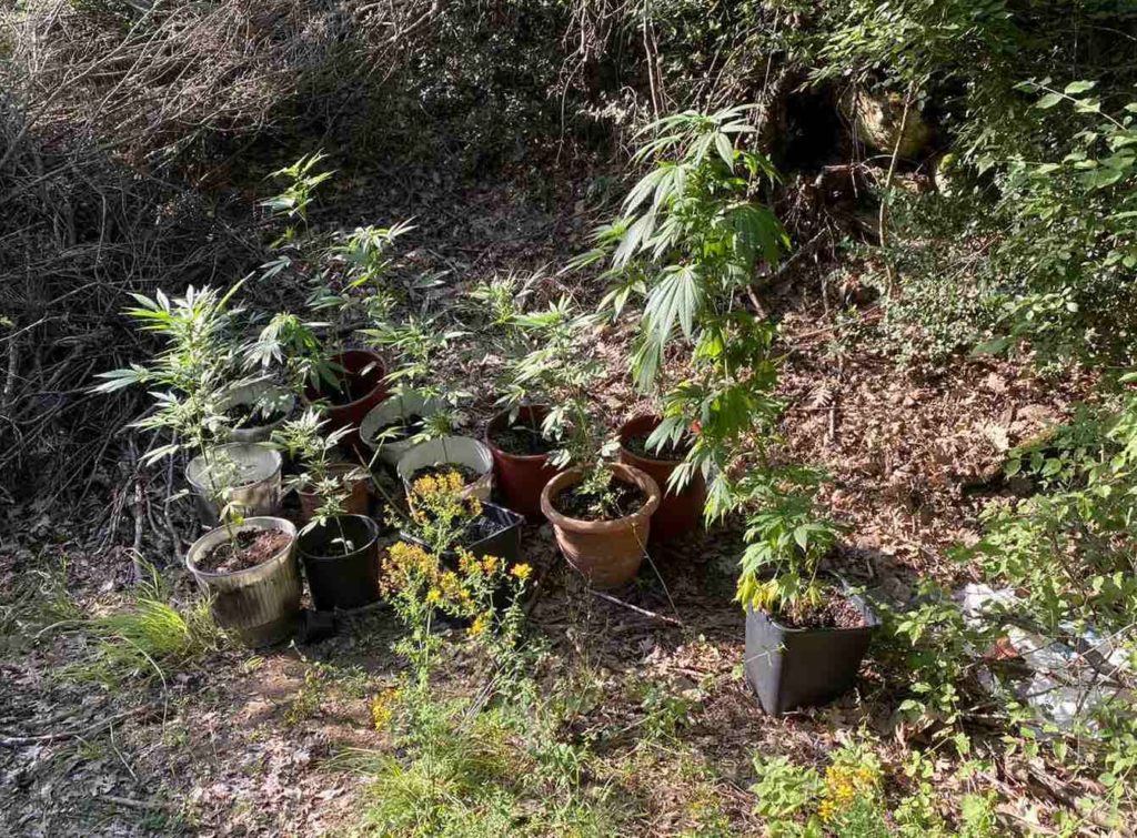 28-06-2021 (Φωτο) Ενημερωτικό δελτίο τελευταίου 24ωρου