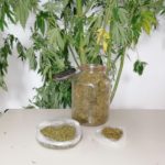 Κατάσχεση κάνναβης ΤΑ Έδεσσας(3)