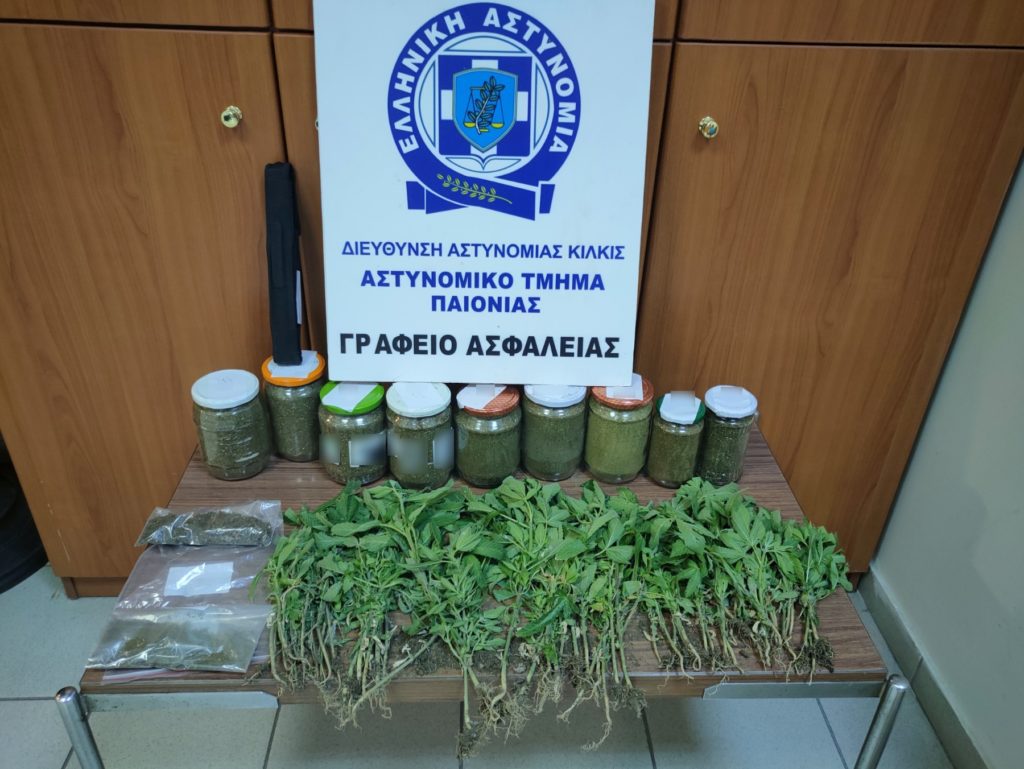 Από αστυνομικούς του Αστυνομικού Τμήματος Παιονίας συνελήφθη ημεδαπός για καλλιέργεια δενδρυλλίων κάνναβης