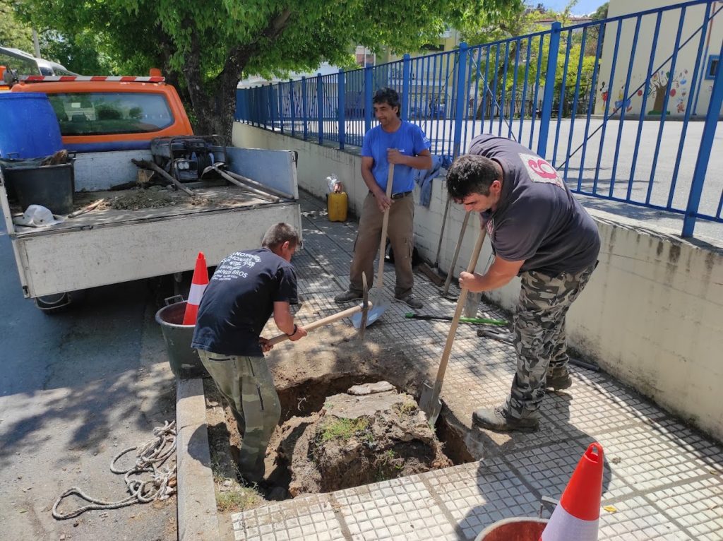 Αντικαταστάσεις και συμπληρώσεις δέντρων στην Έδεσσα