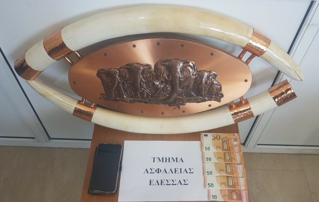 21-9-2022 (ΦΩΤΟ & ΒΙΝΤΕΟ) Ενημερωτικό Δελτίο τελευταίου 24ωρου