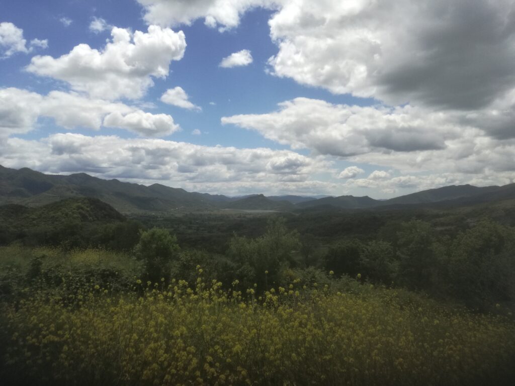 Νομοθετική ρύθμιση προτείνει ο Ιορδάνης Τζαμτζής για την οριστική διευθέτηση των κατεχόμενων εκτάσεων