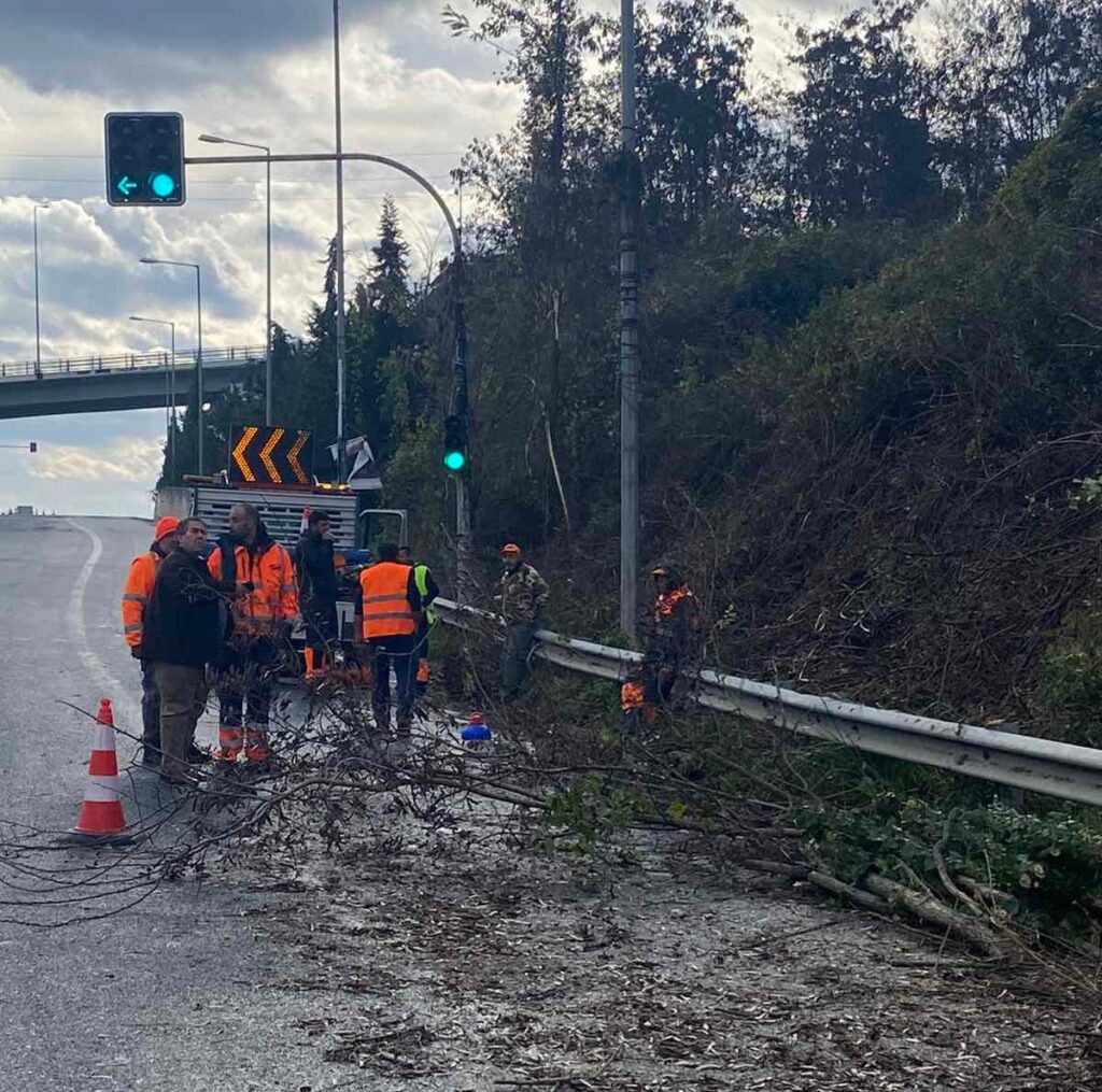 Καθαρισμός δρόμων από την Περιφερειακή Ενότητα Πέλλας - Κοπή βλάστησης στο δρόμο Έδεσσας – Άγρα