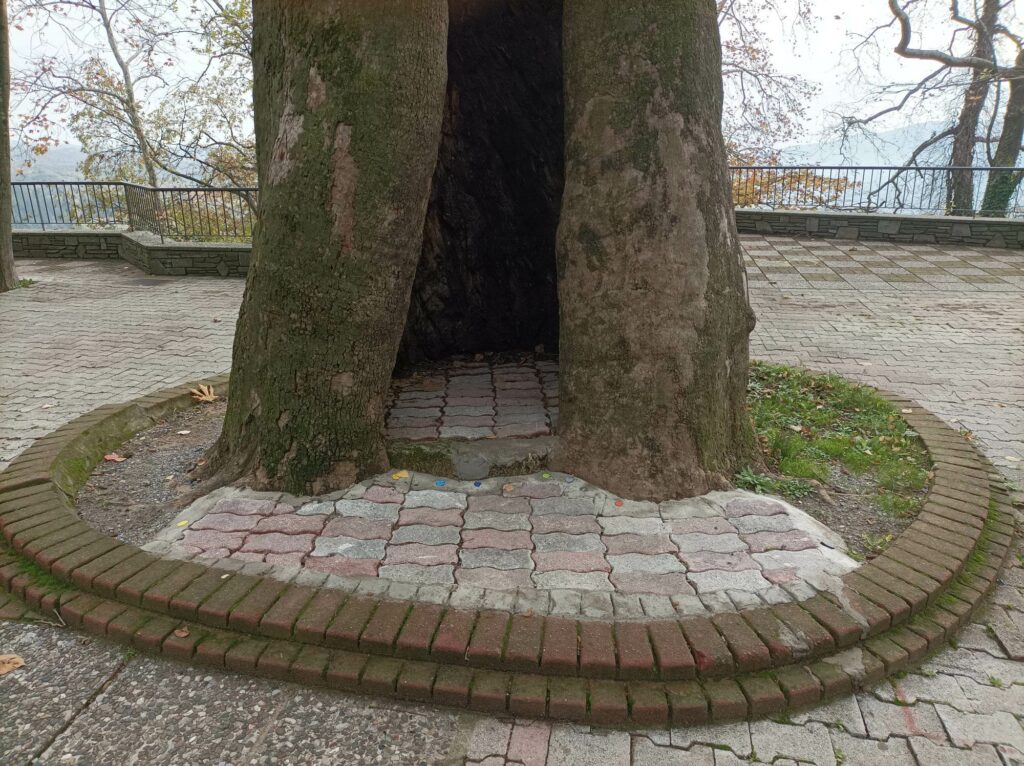 Κοινωνία σε Κίνηση : Η ΑΝΤΙΛΗΨΗ ΤΗΣ ΔΗΜΟΤΙΚΗΣ ΑΡΧΗΣ ΓΙΑ ΤΟ ¨ΠΡΑΣΙΝΟ¨ ΤΗΣ ΕΔΕΣΣΑΣ