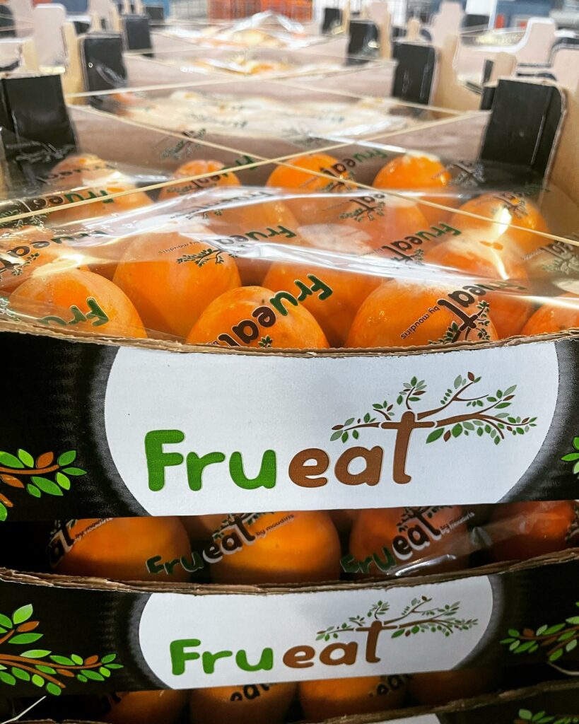 H επιχείρηση Fru.Eat δέχεται αιτήσεις για Θέσεις Εποχικού προσωπικού