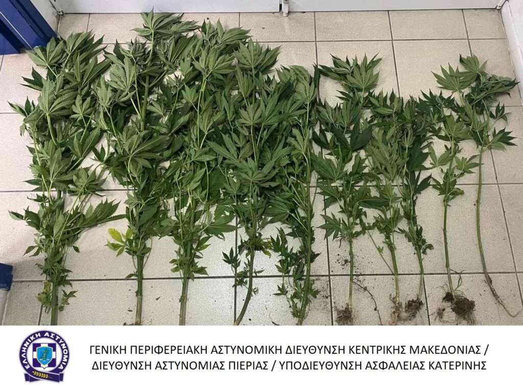 23-6-2023 (φωτο) Ενημερωτικό δελτίο τελευταίου 24ωρου