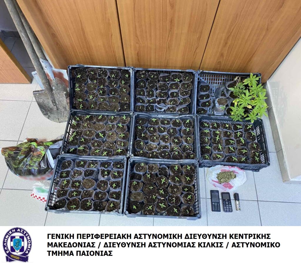 Από το Αστυνομικό Τμήμα Παιονίας συνελήφθησαν 2 άτομα για καλλιέργεια κάνναβης