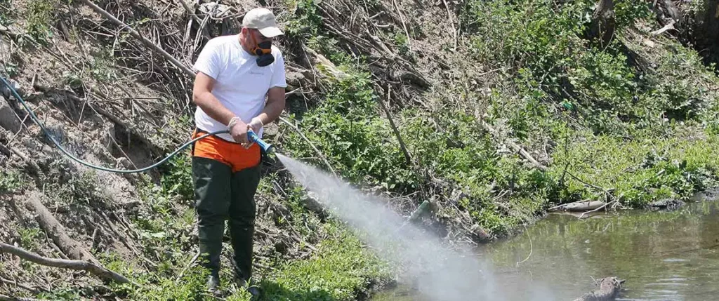 Πρόγραμμα δράσεων καταπολέμησης κουνουπιών στον Δήμο Αλμωπίας
