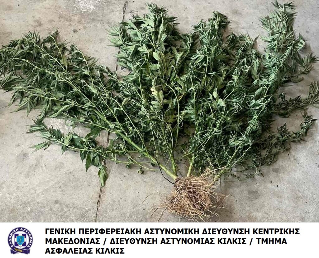 12-7-2023 (ΦΩΤΟ) Ενημερωτικό Δελτίο τελευταίου 24ωρου