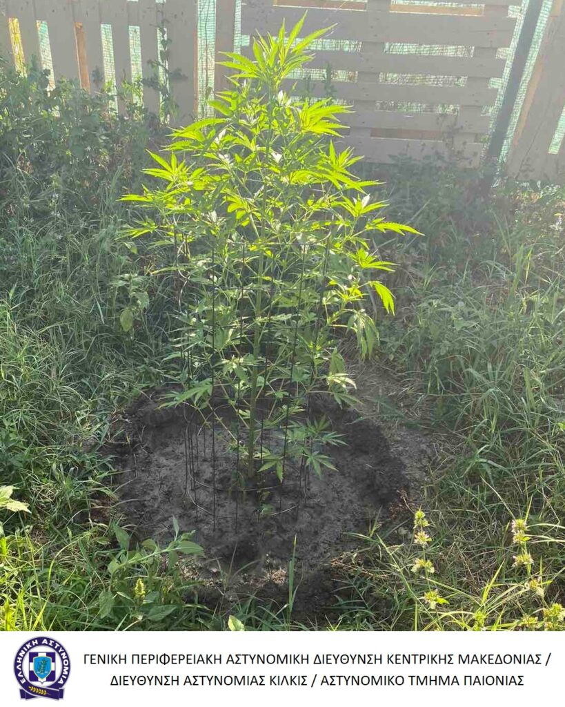 20-7-2023 (φωτο) Ενημερωτικό δελτίο τελευταίου 24ωρου