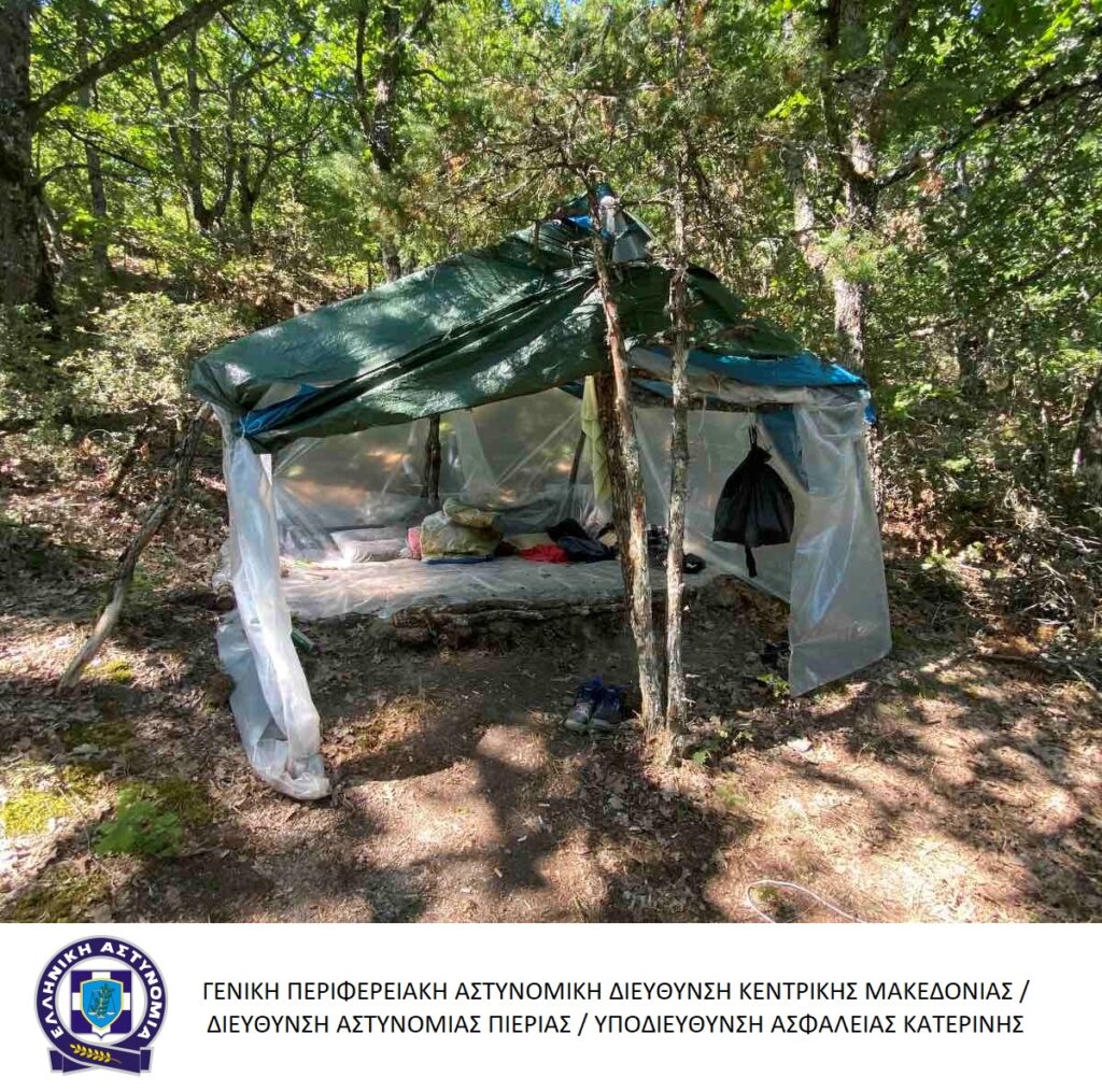 Από την Υποδιεύθυνση Ασφάλειας Κατερίνης εντοπίστηκε σε περιοχή της Λάρισας φυτεία με πάνω από 2.800 δενδρύλλια κάνναβης