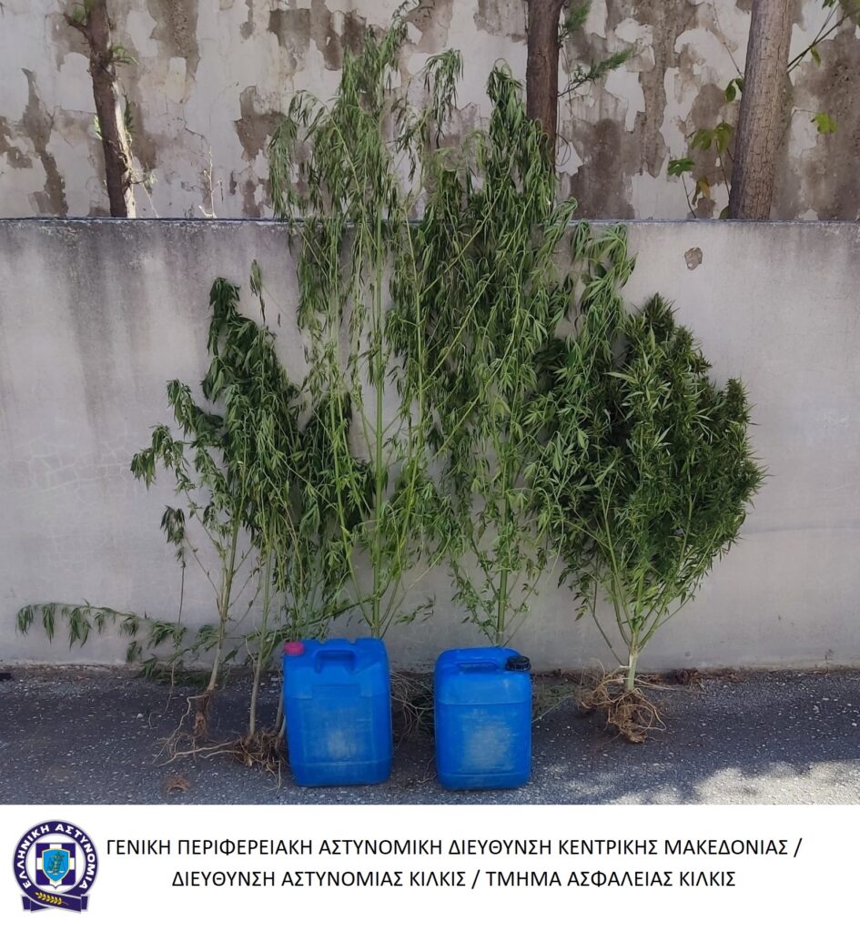 9-8-2023 (φωτο) Ενημερωτικό δελτίο τελευταίου 24ωρου