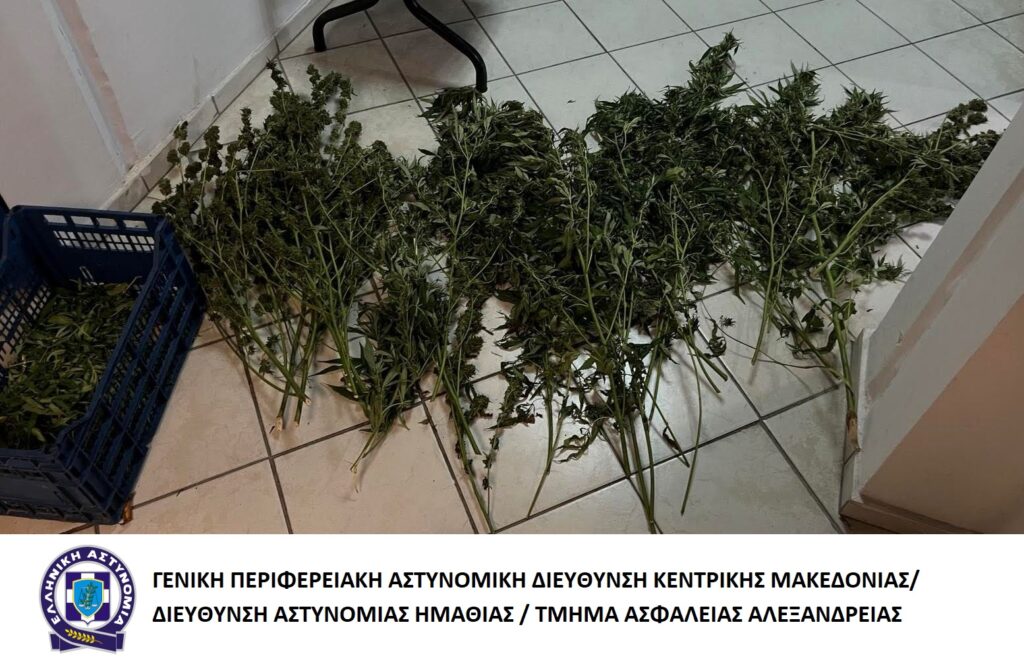 25-9-2023 (φωτο) Ενημερωτικό δελτίο τελευταίου 24ωρου