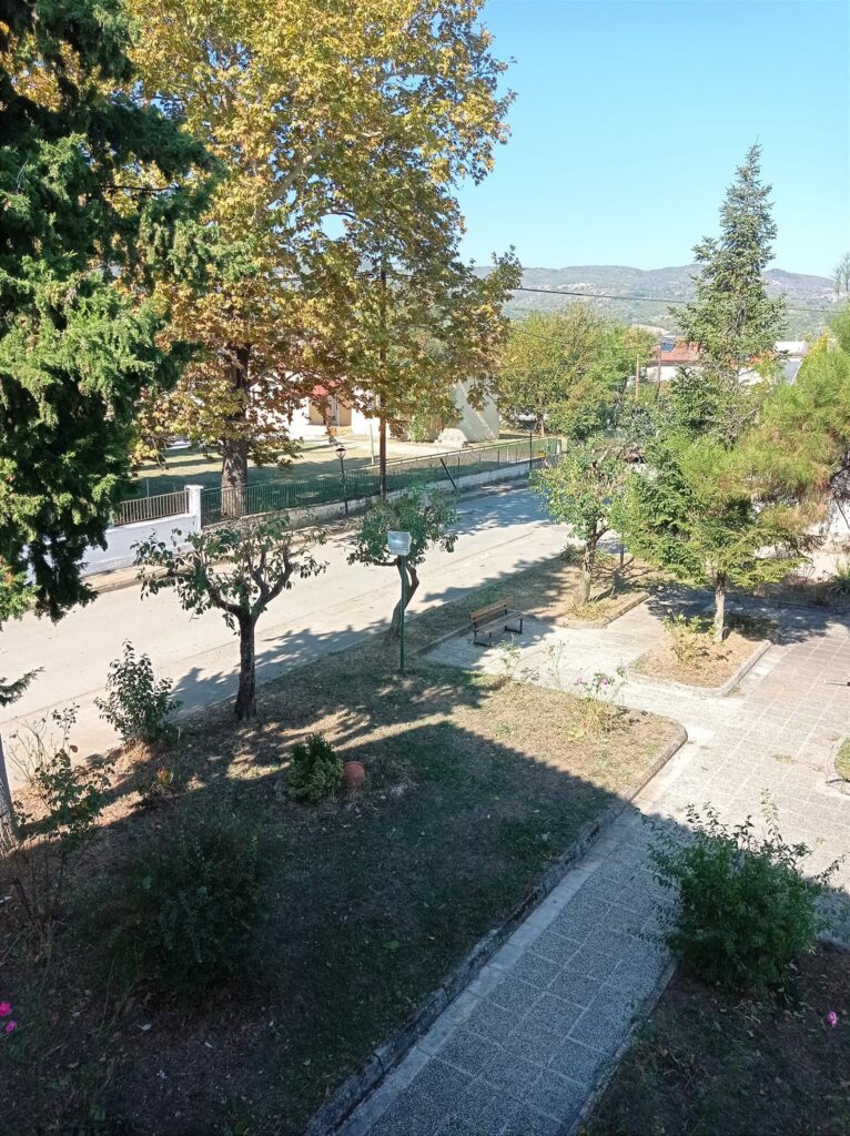 Κοινότητα Πλατάνης : Εργασίες καθαρισμού και εγκατάσταση μεγαλύτερου προβολέα σε αγαστή συνεργασία με τον Δήμο Έδεσσας