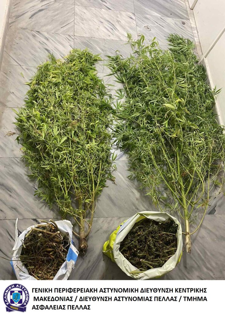 10-10-2023 (φωτο) Ενημερωτικό δελτίο τελευταίου 24ωρου