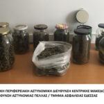 Κατάσχεση ναρκωτικών ΤΑ Έδεσσας(2)