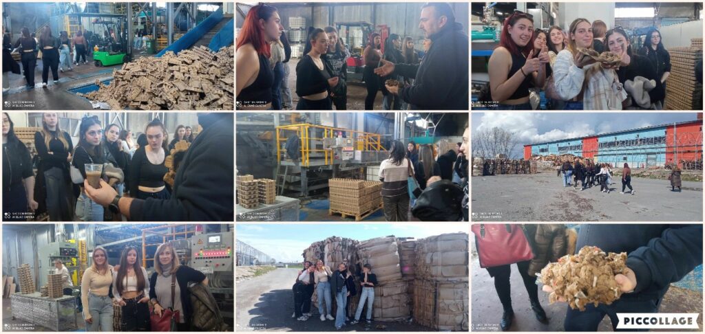 ΕΠΑΛ -ΕΚ ΕΔΕΣΣΑΣ - ΔΡΑΣΗ ΚΥΚΛΙΚΗΣ ΟΙΚΟΝΟΜΙΑΣ