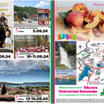 2024-CULTURE-SUMMER-8-2