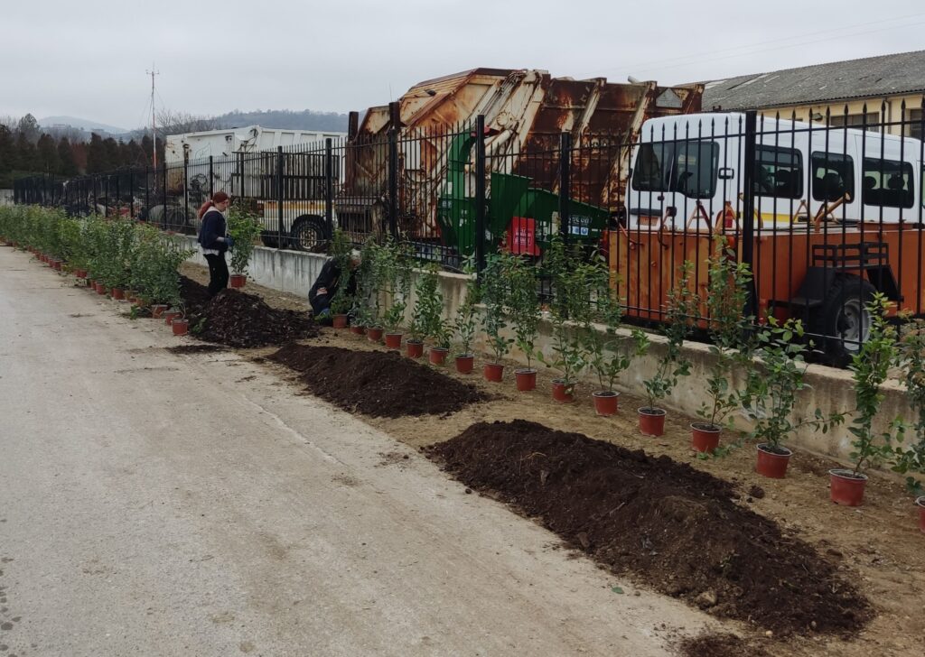 Πρωτοβουλία για την αναβάθμιση του αστικού περιβάλλοντος από το Τμήμα Πρασίνου του Δήμου Έδεσσας