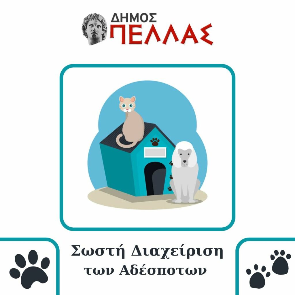 Δήμος Πέλλας : Η υπεύθυνη διαχείριση των αδέσποτων έφερε αποτελέσματα- Οι δράσεις σε αριθμούς