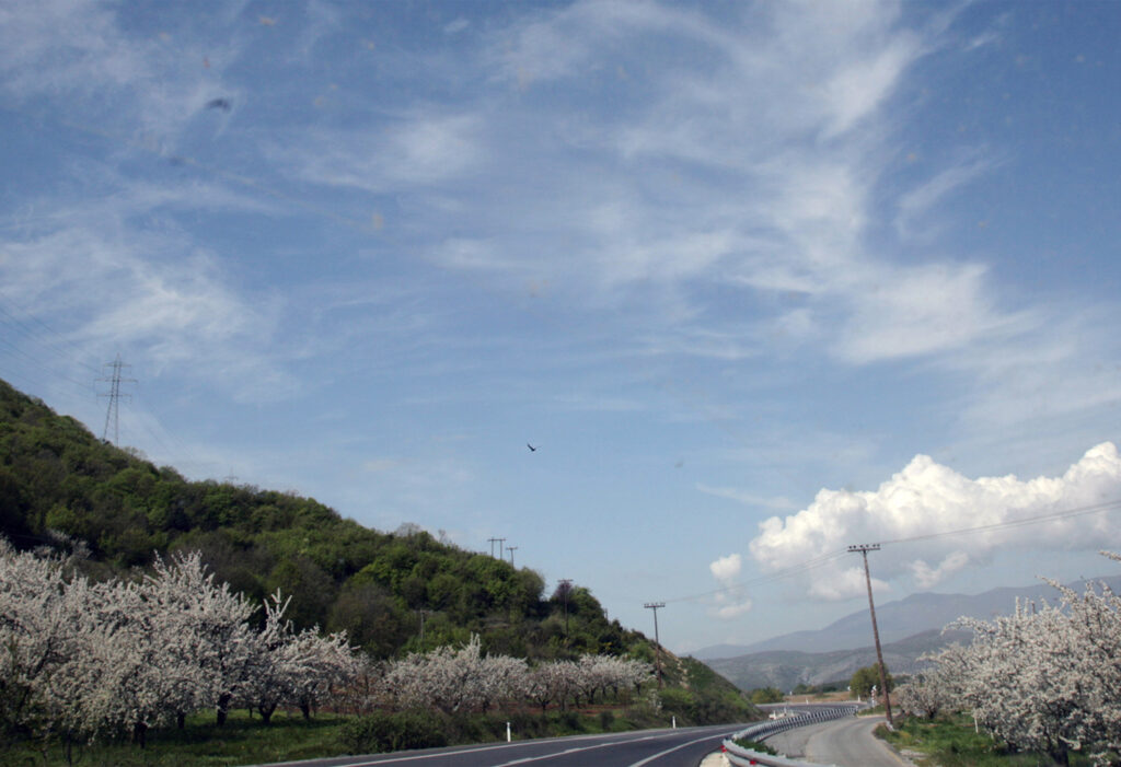 «Όταν ανθίζουν οι κερασιές της Πέλλας» - Δράση πεζοπορίας και ποδηλασίας στις ανθισμένες κερασιές και τις πηγές του υγροβιότοπου Άγρα-Βρυττών-Νησίου